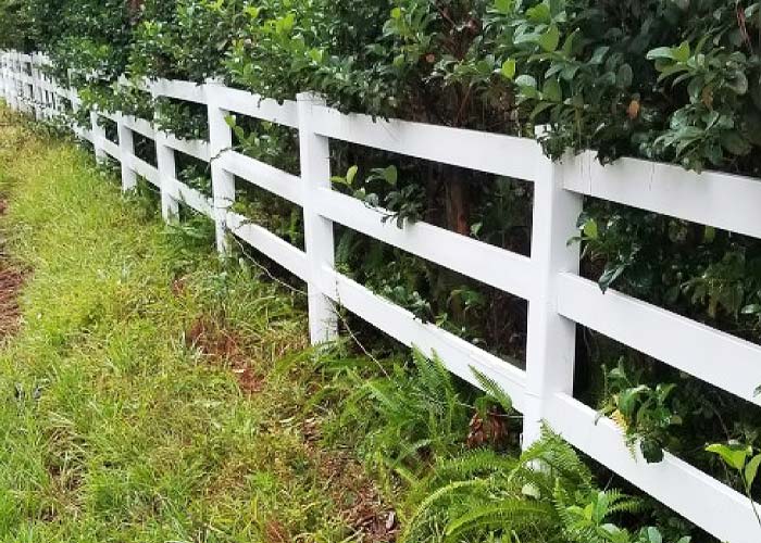 Fence cleaning