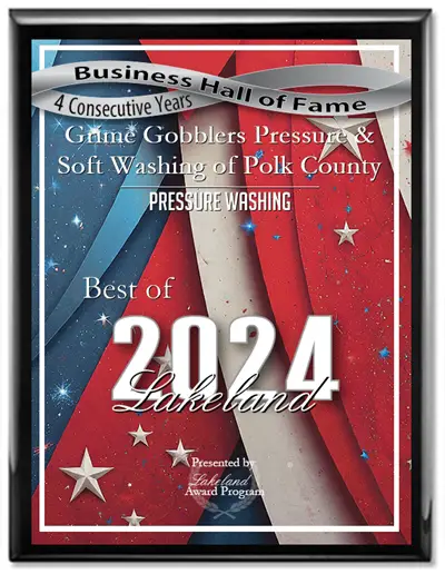 Business Hall of Fame 4 Consecutive Years Award