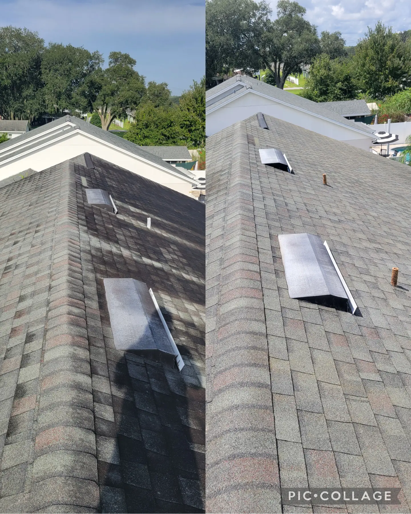 Residential roof cleaning before and after